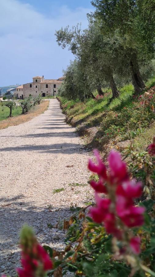 Castello Di Petecciano B&B Mosciano Sant'Angelo Exterior photo